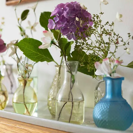 דירה The Livingrooms