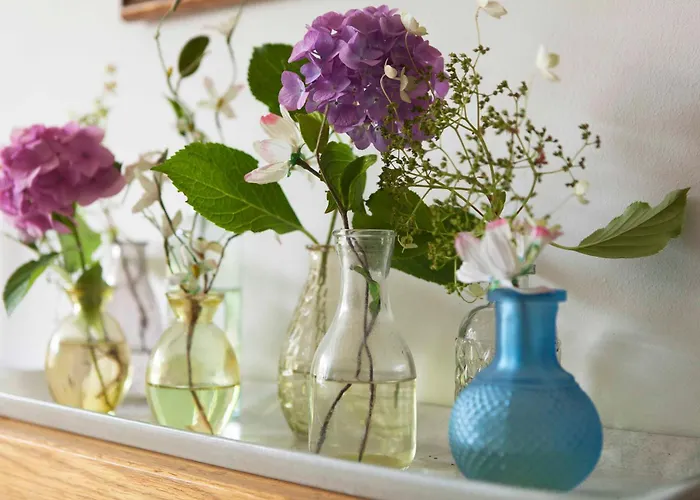 Apartment The Livingrooms